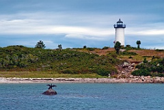 Lighthouse Greeted by Coastal Seabirds